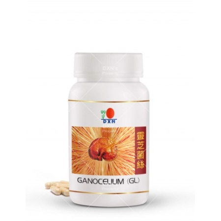 DXN Ganocelium (GL) 30 - grzybnia Reishi