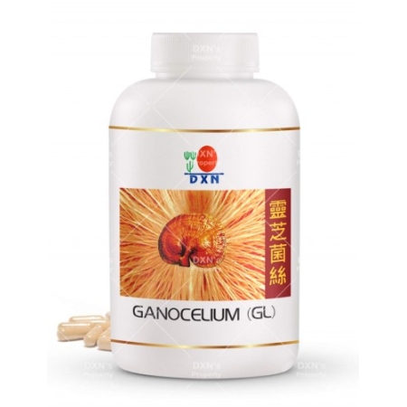 DXN Ganocelium (GL) 360 - grzybnia Reishi